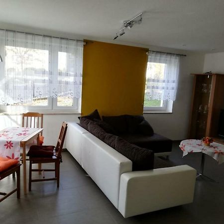 Ferienwohnung, Monteurwohnung Grossrohrsdorf Exteriör bild